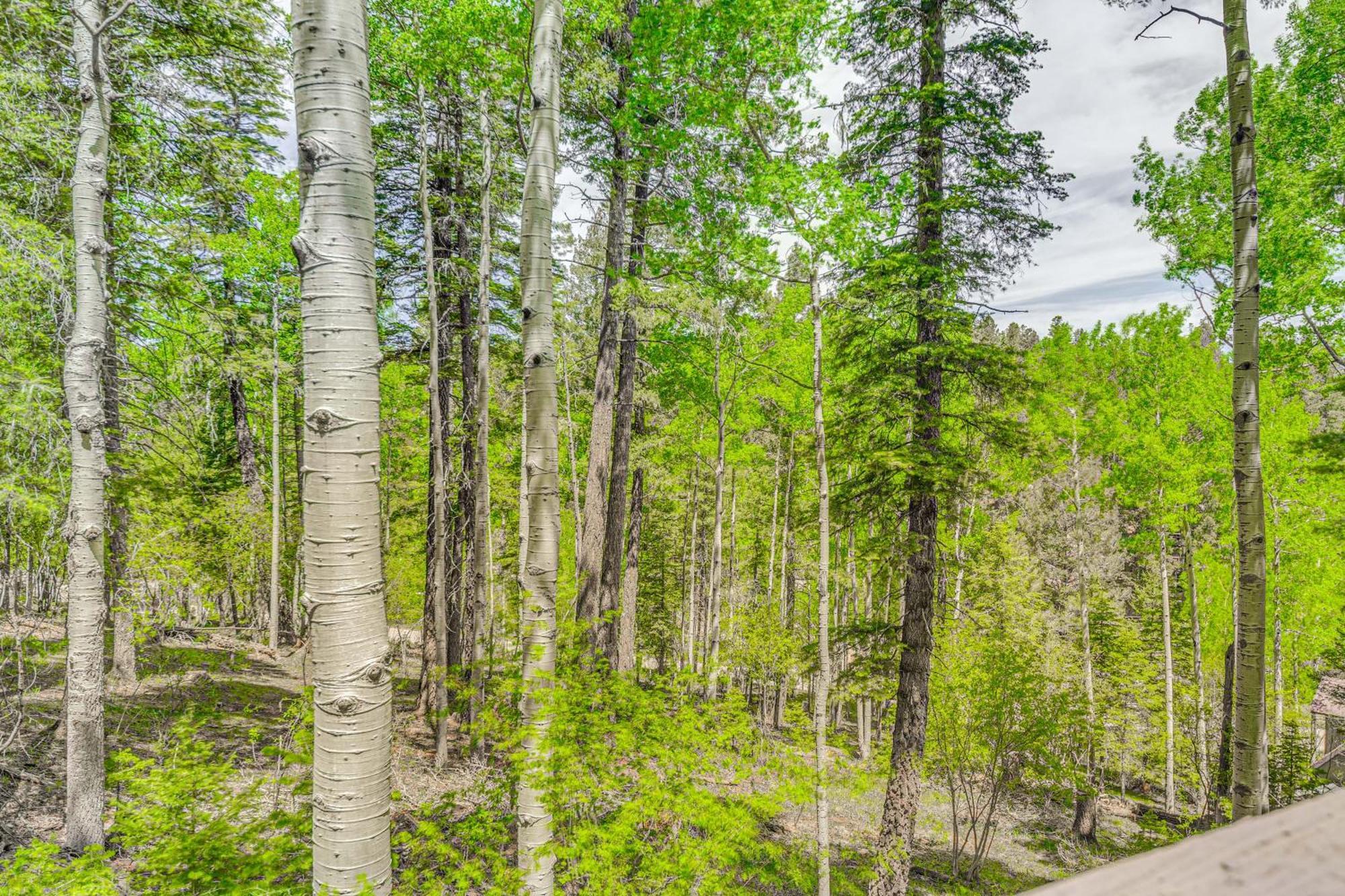 Quaint Cloudcroft Cabin With Stunning Forest Views! Exteriér fotografie
